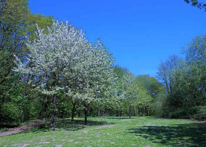 Panoramic Urlaub Mit Weitblick